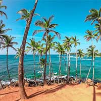 Mirissa Beach