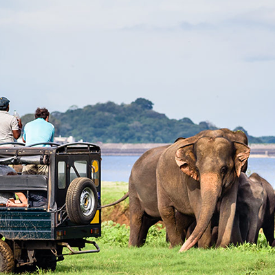 Yala National Park